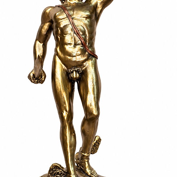Statua in Marmo del David Rinascimentale