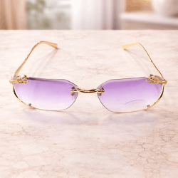 Sunglasses with golden details and dragon