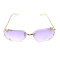 Sunglasses with golden details and dragon