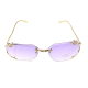 Sunglasses with golden details and dragon