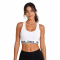 Italia Fitness Crop Top